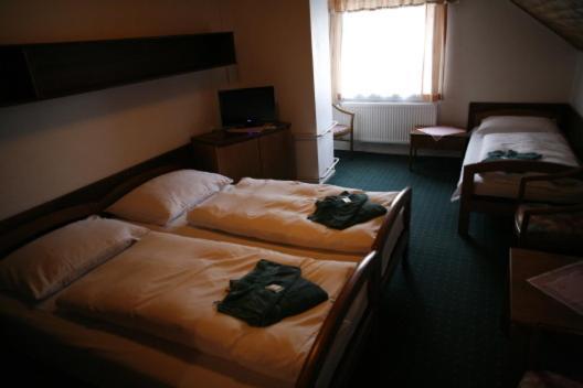 Hotel Star 4,5 Loučná pod Klínovcem Chambre photo